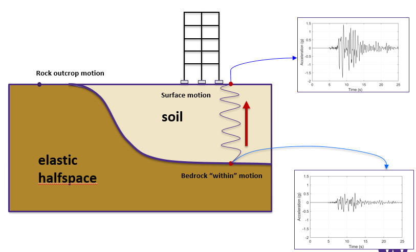 Propagation of vertical waves in site response analysis